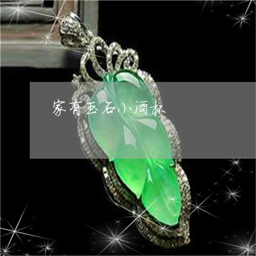 家有玉石小酒杯/2023040226369