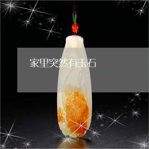 家里突然有玉石/2023040239341 家里突然有玉石/2023040239341