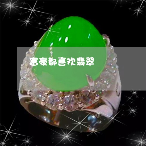 富豪都喜欢翡翠/2023040304036