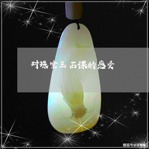 对珠宝玉石课的感受/2023042129404