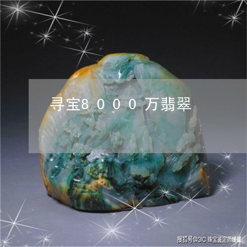 寻宝8000万翡翠/2023042173613 寻宝8000万翡翠/2023042173613