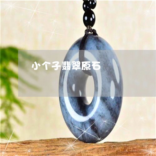 小个子翡翠原石/2023040276249 小个子翡翠原石/2023040276249