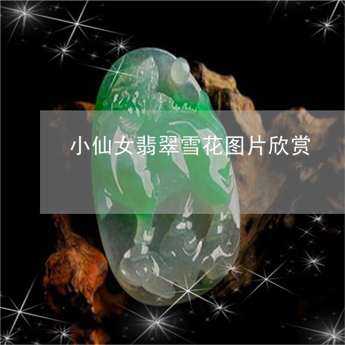 小仙女翡翠雪花图片欣赏/2023061868492