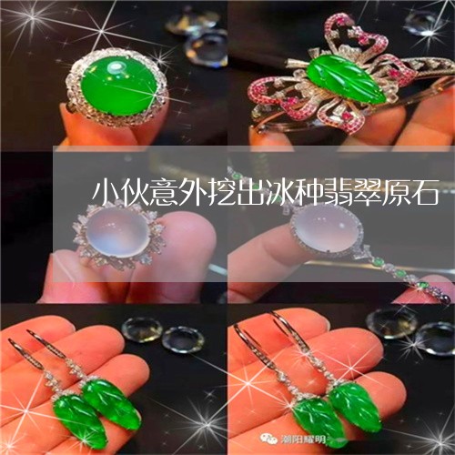 小伙意外挖出冰种翡翠原石/2023061956491