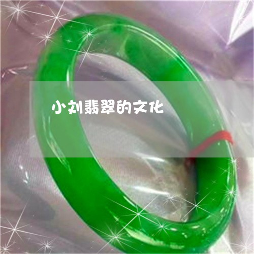 小刘翡翠的文化/2023040374607 小刘翡翠的文化/2023040374607