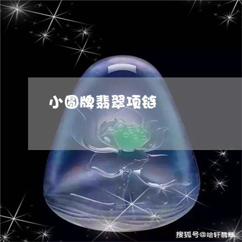 小圆牌翡翠项链/2023040331706