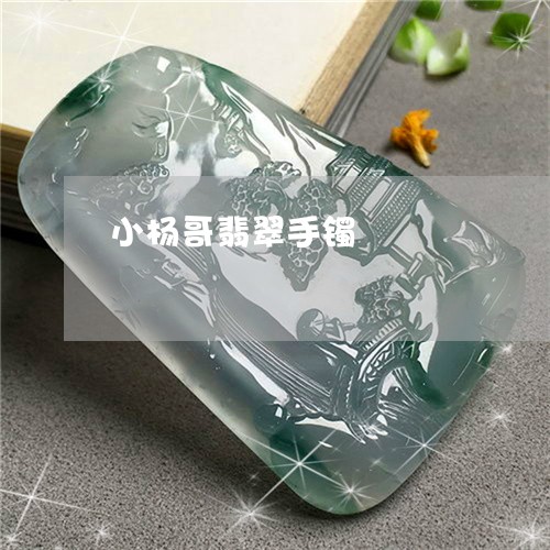 小杨哥翡翠手镯/2023040362815