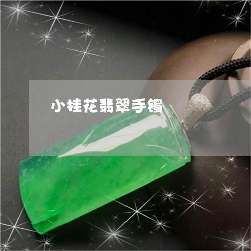 小桂花翡翠手镯/2023040361716