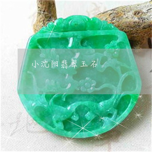 小沈阳翡翠玉石/2023040308159
