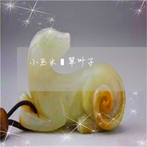 小玉米翡翠叶子/2023040351695