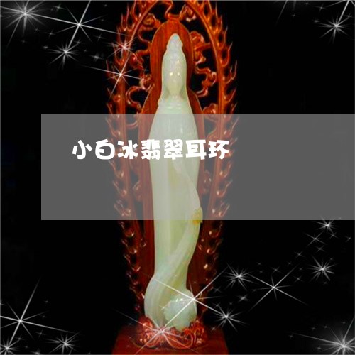 小白冰翡翠耳环/2023040328259 小白冰翡翠耳环/2023040328259