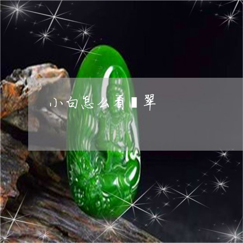 小白怎么看翡翠/2023040363794 小白怎么看翡翠/2023040363794