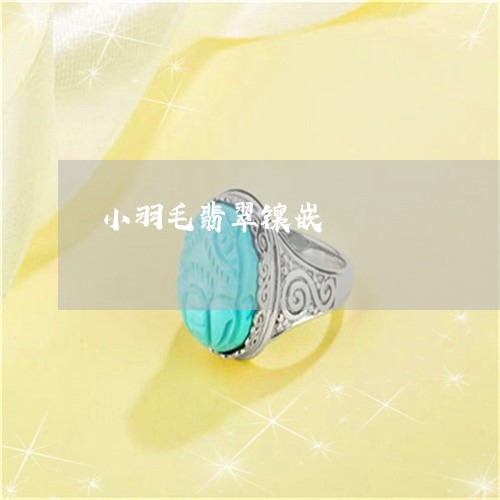 小羽毛翡翠镶嵌/2023040395048