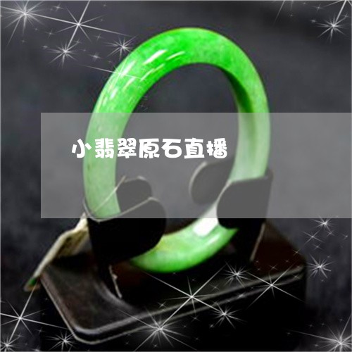 小翡翠原石直播/2023040328351