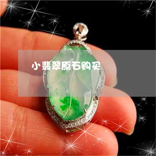 小翡翠原石购买/2023040362927