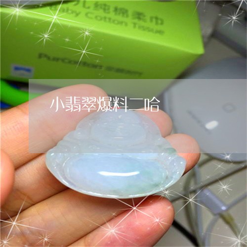 小翡翠爆料二哈/2023040349270 小翡翠爆料二哈/2023040349270