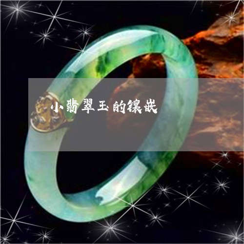 小翡翠玉的镶嵌/2023040360591 小翡翠玉的镶嵌/2023040360591