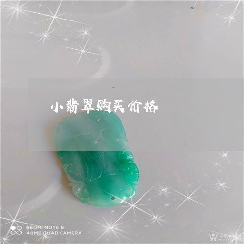 小翡翠购买价格/2023040337460 小翡翠购买价格/2023040337460