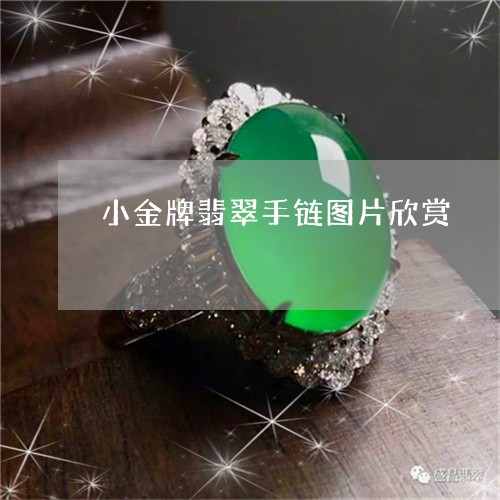 小金牌翡翠手链图片欣赏/2023061802917 小金牌翡翠手链图片欣赏/2023061802917