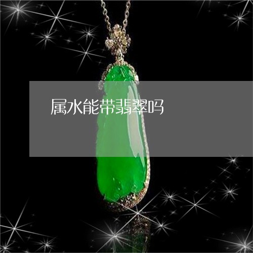 属水能带翡翠吗/2023040317259
