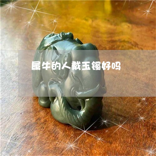 属牛的人戴玉镯好吗/2023042072714 属牛的人戴玉镯好吗/2023042072714
