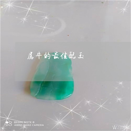 属牛的最佳配玉/2023040364746 属牛的最佳配玉/2023040364746