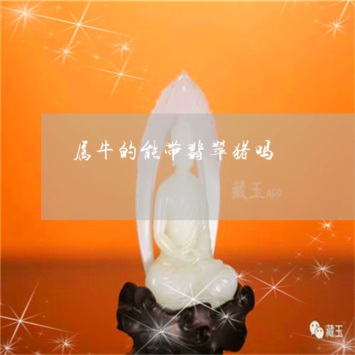属牛的能带翡翠猪吗/2023042003937 属牛的能带翡翠猪吗/2023042003937