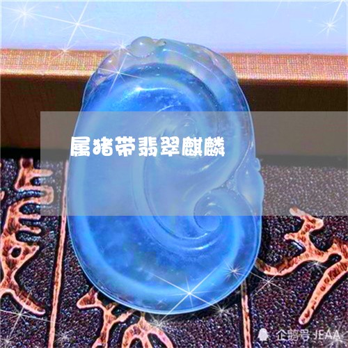 属猪带翡翠麒麟/2023040370603