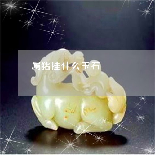 属猪挂什么玉石/2023040355171