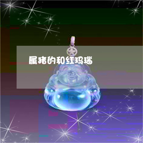 属猪的和红玛瑙/2023040327137