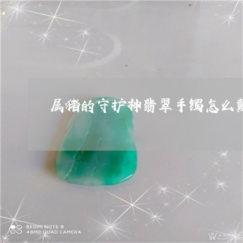 属猪的守护神翡翠手镯怎么戴/2023063026046