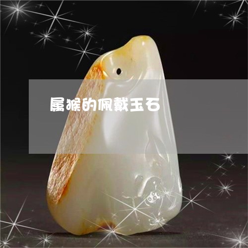 属猴的佩戴玉石/2023040396250 属猴的佩戴玉石/2023040396250