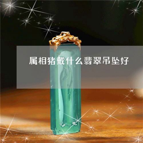 属相猪戴什么翡翠吊坠好/2023061841303