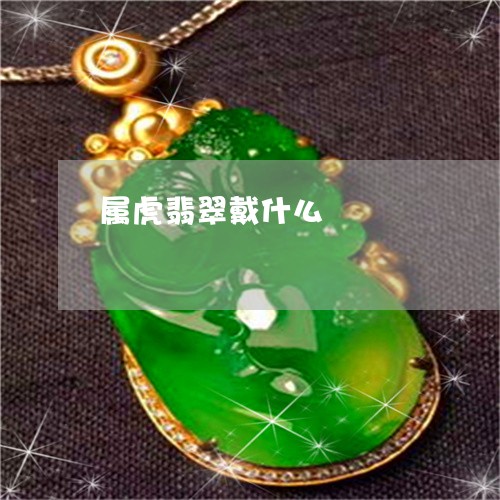 属虎翡翠戴什么/2023040362793 属虎翡翠戴什么/2023040362793