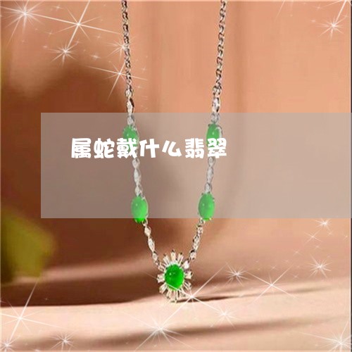 属蛇戴什么翡翠/2023040249713