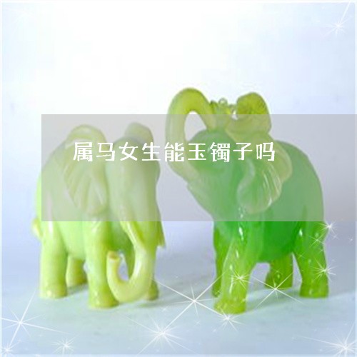 属马女生能玉镯子吗/2023042003937