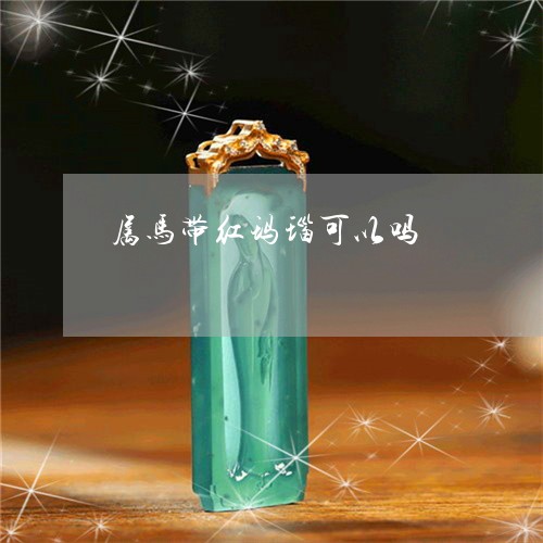 属马带红玛瑙可以吗/2023042094628