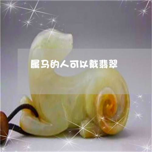 属马的人可以戴翡翠/2023042094714