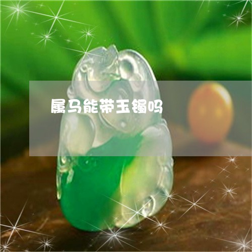 属马能带玉镯吗/2023040246152 属马能带玉镯吗/2023040246152