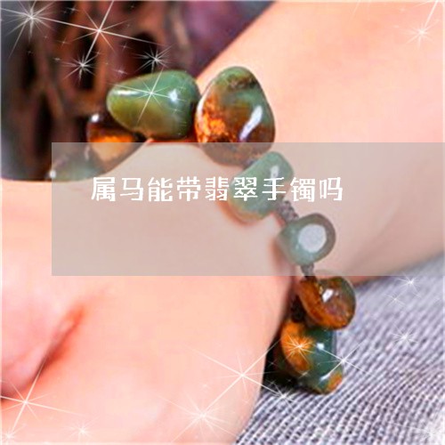 属马能带翡翠手镯吗/2023042072836 属马能带翡翠手镯吗/2023042072836