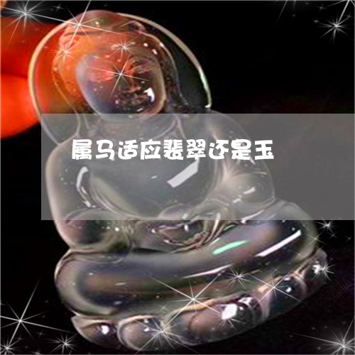 属马适应裴翠还是玉/2023042098593 属马适应裴翠还是玉/2023042098593