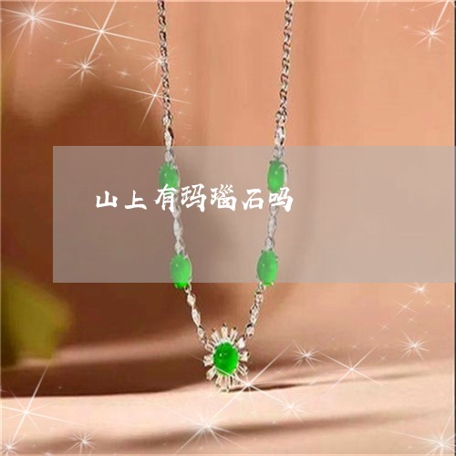 山上有玛瑙石吗/2023040260581 山上有玛瑙石吗/2023040260581