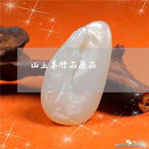 山上羊肝石原石/2023040217236