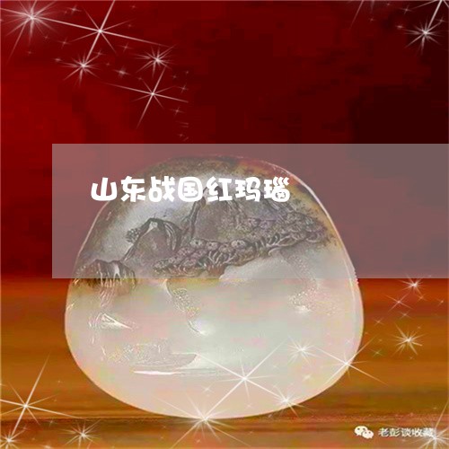 山东战国红玛瑙/2023040283806