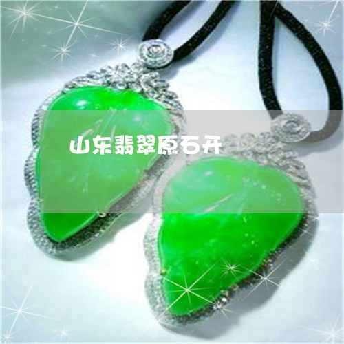 山东翡翠原石开/2023040217149 山东翡翠原石开/2023040217149