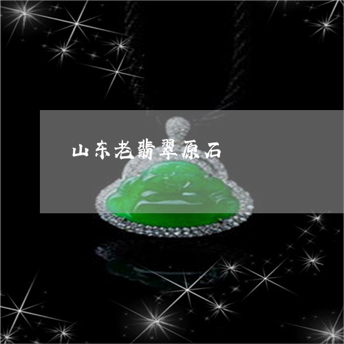 山东老翡翠原石/2023040213726 山东老翡翠原石/2023040213726