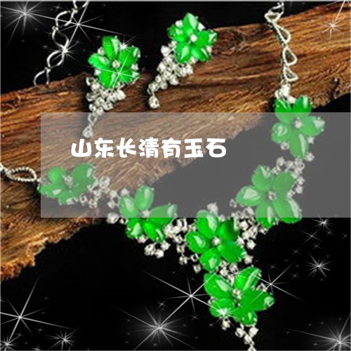 山东长清有玉石/2023040262692