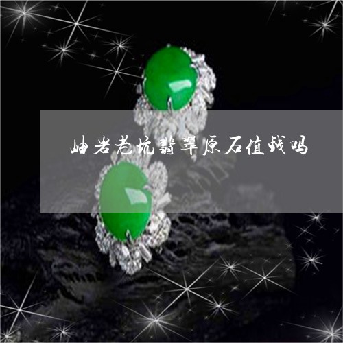 岫岩老坑翡翠原石值钱吗/2023060961605