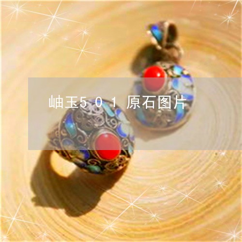 岫玉501原石图片