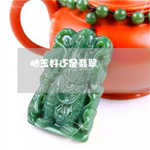 岫玉好还是翡翠/2023040382756